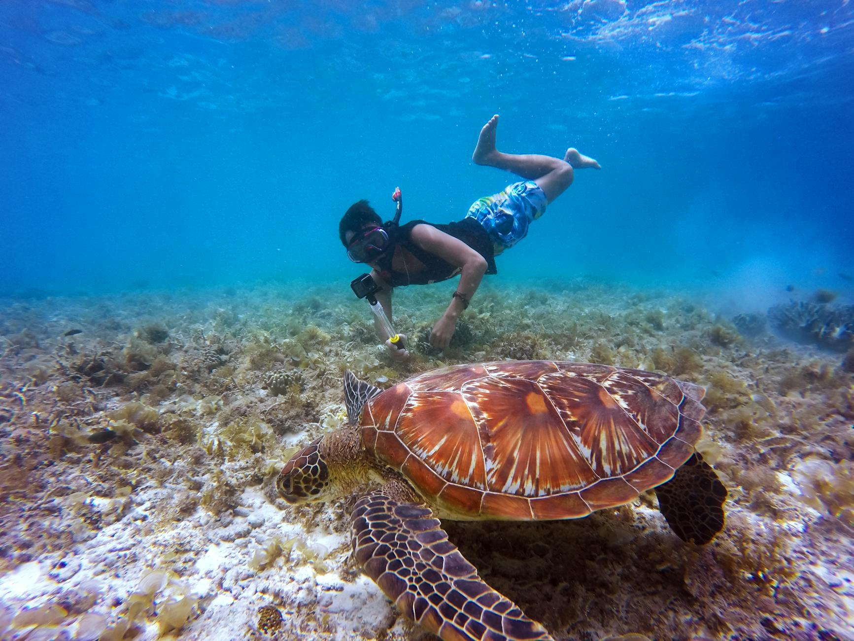 Barbados shore excursions