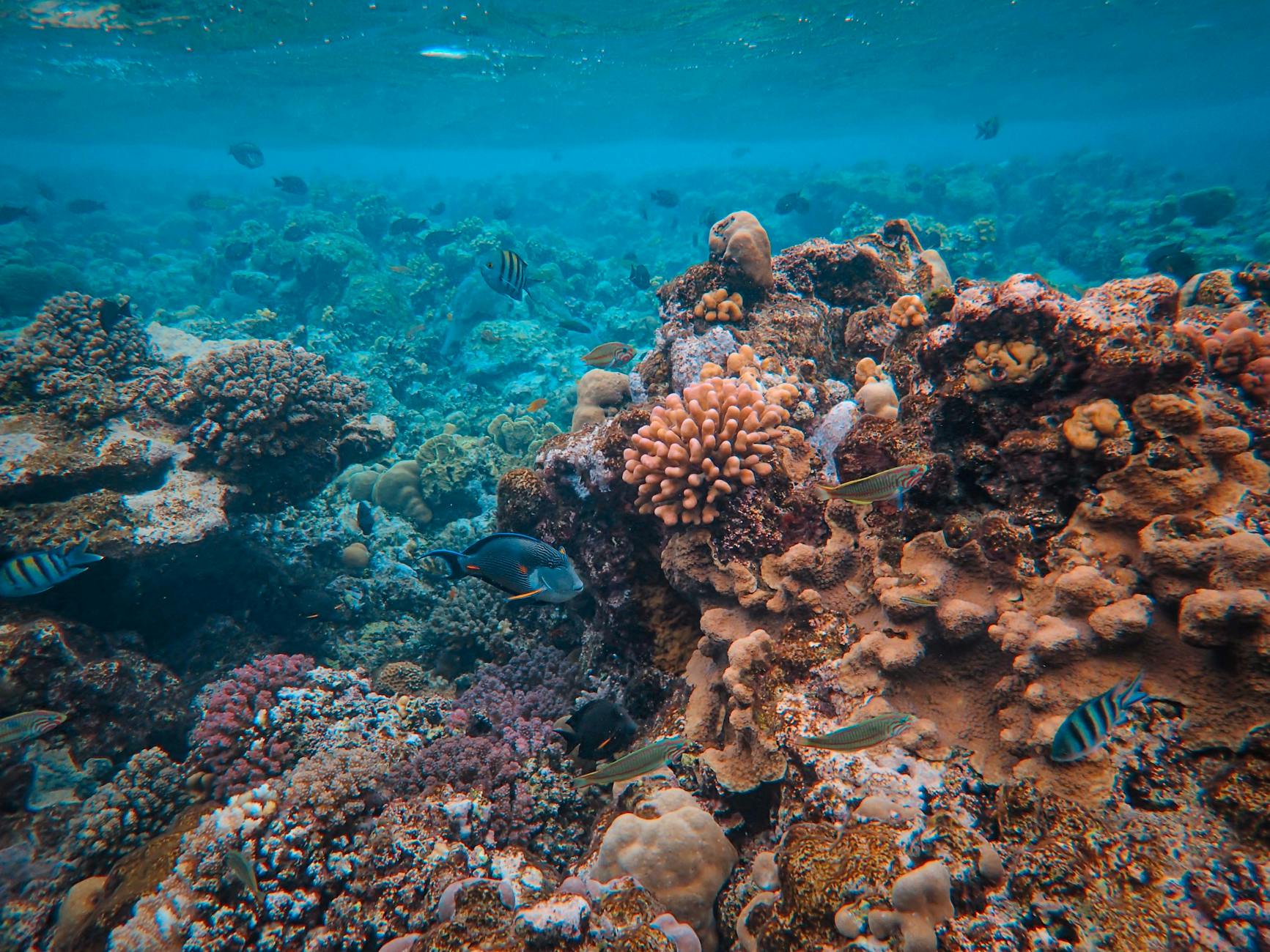 Belize shore excursions