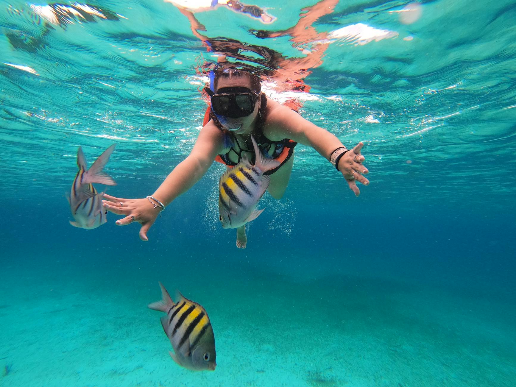 Cozumel shore excursions